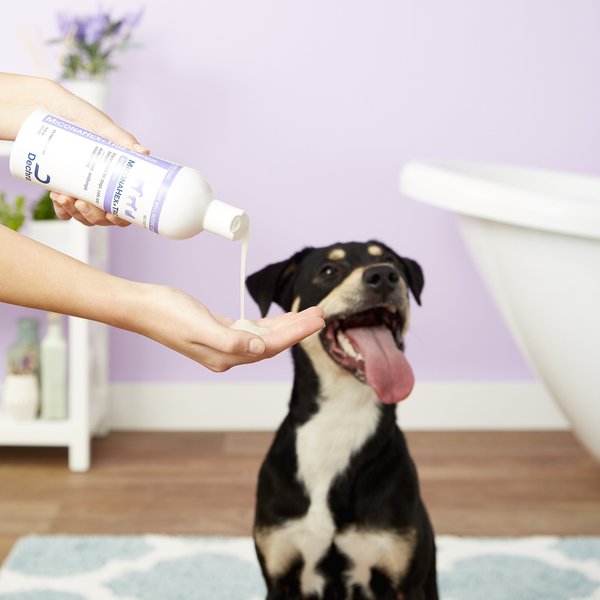Show full view: MiconaHex+Triz Shampoo for Dogs & Cats, 16-fl oz bottle slide 4 of 8