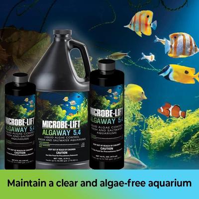 Show full view: Microbe-Lift Algaway 5.4 Algae Control Aquarium Algaecide, 8-oz bottle slide 2 of 6