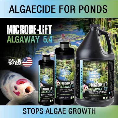Show full view: Microbe-Lift Algaway 5.4 Pond Algae Control, 32-oz bottle slide 2 of 5