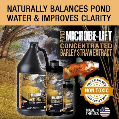 Show full view: Microbe-Lift Barley Straw Concentrated Extract Pond Water Treatment, 32-oz bottle slide 3 of 6