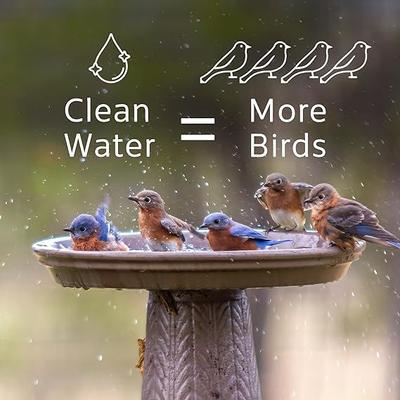 Show full view: Microbe-Lift Bird Bath Clear Solution, 4-oz bottle slide 3 of 9