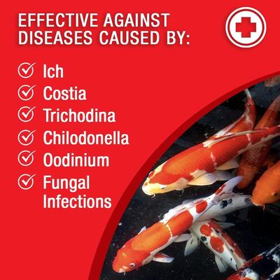 Show full view: Microbe-Lift Broad Spectrum Disease Fish Treatment, 32-oz bottle slide 3 of 7