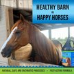 Show in main carousel: Microbe-Lift EQ1 Concentrated Liquid Equine Odor Eliminator, 1-gal jug slide 5 of 9