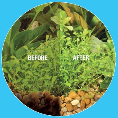 Show full view: Microbe-Lift Gravel & Substrate Aquarium Cleaner, 8-oz bottle slide 4 of 7