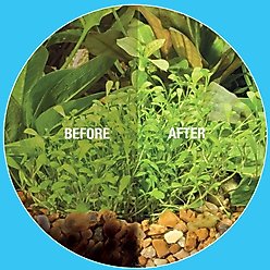 Microbe-Lift Gravel & Substrate Cleaner, 16-oz bottle slide 2 of 6