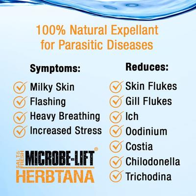 Show full view: Microbe-Lift Herbtana Salt & Freshwater Fish Treatment, 16-oz bottle slide 5 of 7