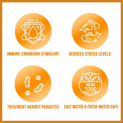 Show full view: Microbe-Lift Herbtana Salt & Freshwater Fish Treatment, 16-oz bottle slide 3 of 7