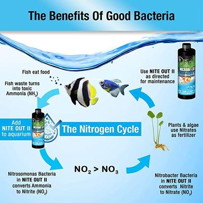 Show full view: Microbe-Lift Nite Out II Marine Aquarium Water Treatment, 16-oz bottle slide 2 of 6