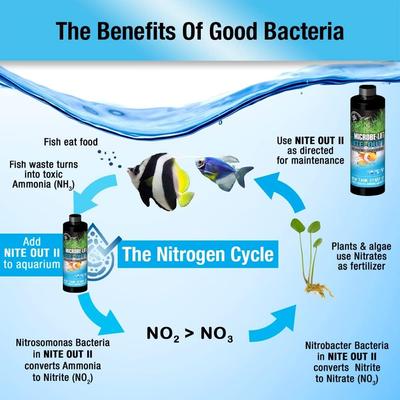 Show full view: Microbe-Lift Nite Out II Marine Aquarium Water Treatment, 4-oz bottle slide 5 of 6