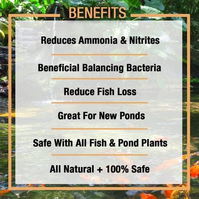 Show full view: Microbe-Lift Nite-Out II Nitrifying Bacteria Pond Water Care, 32-oz bottle slide 4 of 5