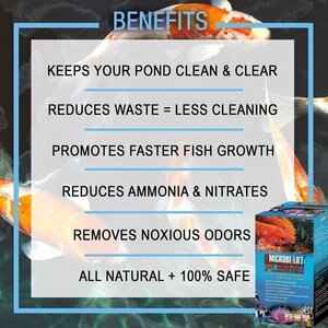 Microbe-Lift PL Pond & Lagoon Bacteria Water Treatment, 16-oz bottle