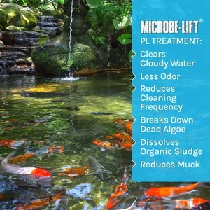 Microbe-Lift PL Pond & Lagoon Bacteria Water Treatment, 16-oz bottle