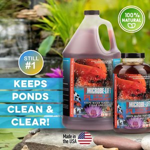 Microbe-Lift PL Pond & Lagoon Bacteria Water Treatment, 16-oz bottle