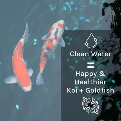 Show full view: Microbe-Lift PL Pond & Lagoon Bacteria Water Treatment, 1-gal slide 6 of 10