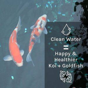 Microbe-Lift PL Pond & Lagoon Bacteria Water Treatment, 32-oz bottle