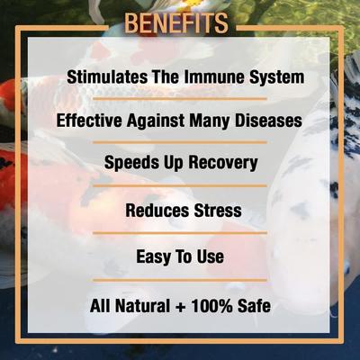 Show full view: Microbe-Lift Sabbactisun All-Natural Expellant Aquarium Bacterial Disease Water Conditioner, 16-oz bottle slide 4 of 7