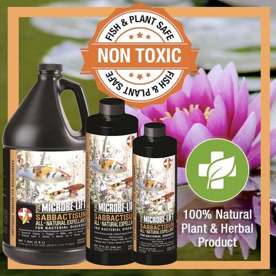 Show full view: Microbe-Lift Sabbactisun All-Natural Expellant Aquarium Bacterial Disease Water Conditioner, 16-oz bottle slide 5 of 7