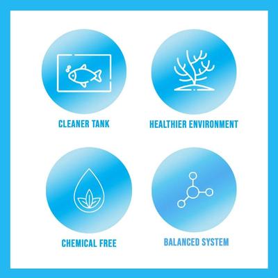 Show full view: Microbe-Lift Special Blend Aquarium Cleaner, 16-oz bottle slide 9 of 9