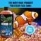 Show in main carousel: Microbe-Lift Special Blend Aquarium Cleaner, 16-oz bottle slide 8 of 9