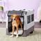 Show in main carousel: MidWest Canine Camper Single Door Collapsible Soft-Sided Dog Crate, 30 inch slide 1 of 9