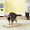 Show in main carousel: MidWest Catty Scratch Cat Scratcher with Catnip, Large slide 6 of 8