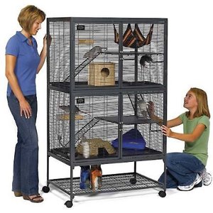 MidWest Critter Nation Deluxe Small Animal Cage, Double Story