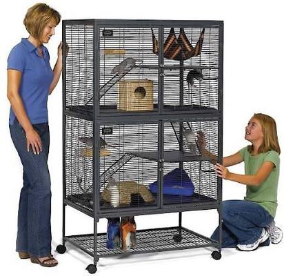 MidWest Critter Nation Deluxe Small Animal Cage