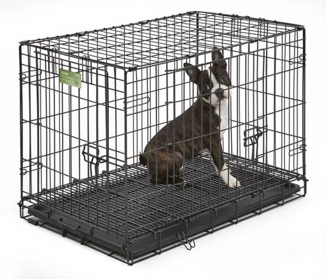 Show full view: MidWest Curved Latch Dog Crate Floor Grid, Black, Medium slide 6 of 7