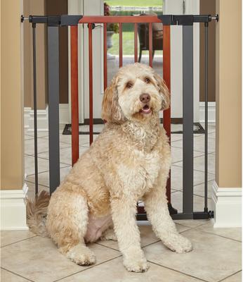 Show full view: MidWest Decorative Wood & Graphite Steel Dog & Cat Gate, 39-in slide 2 of 6