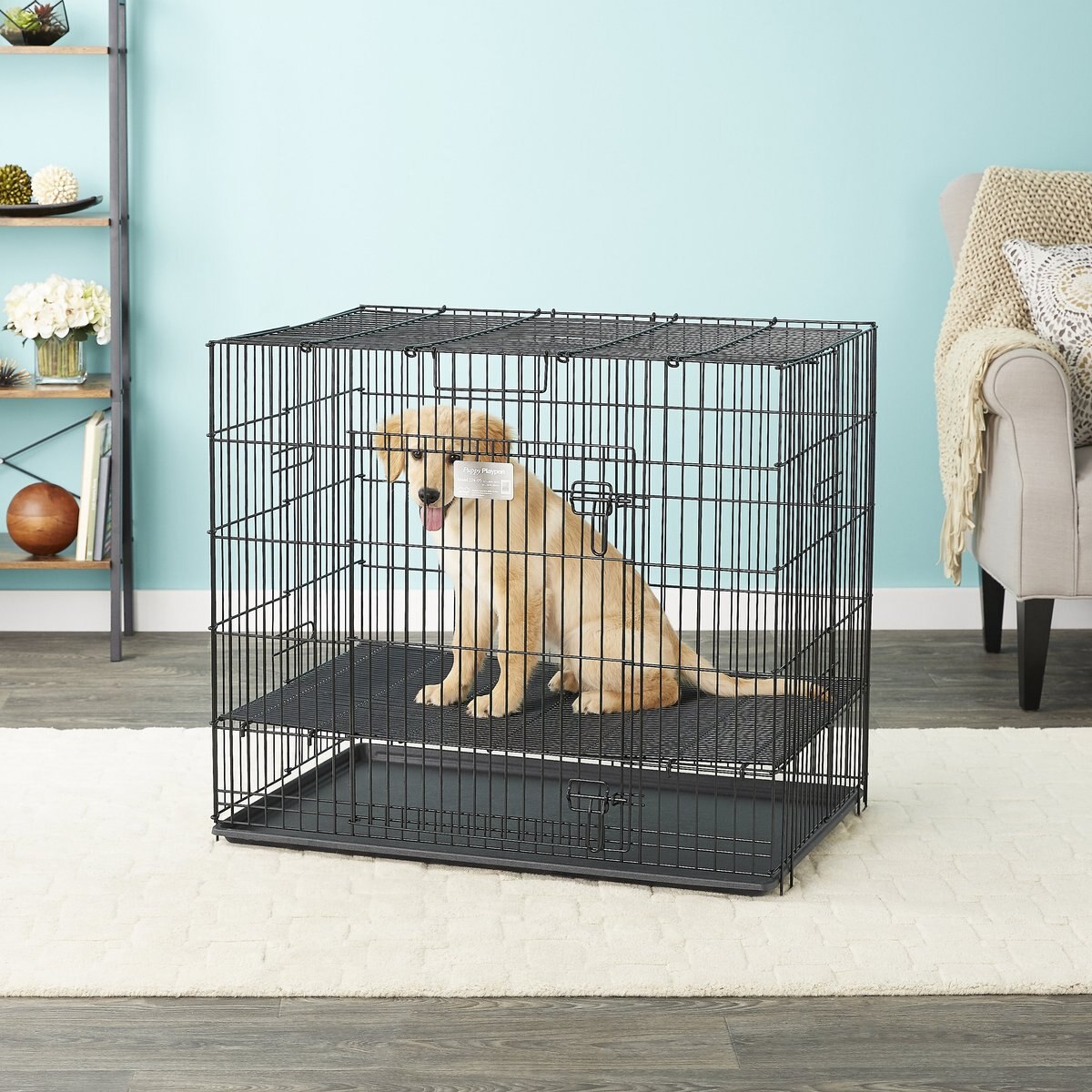 MidWest Double Door Collapsible Wire Puppy Crate