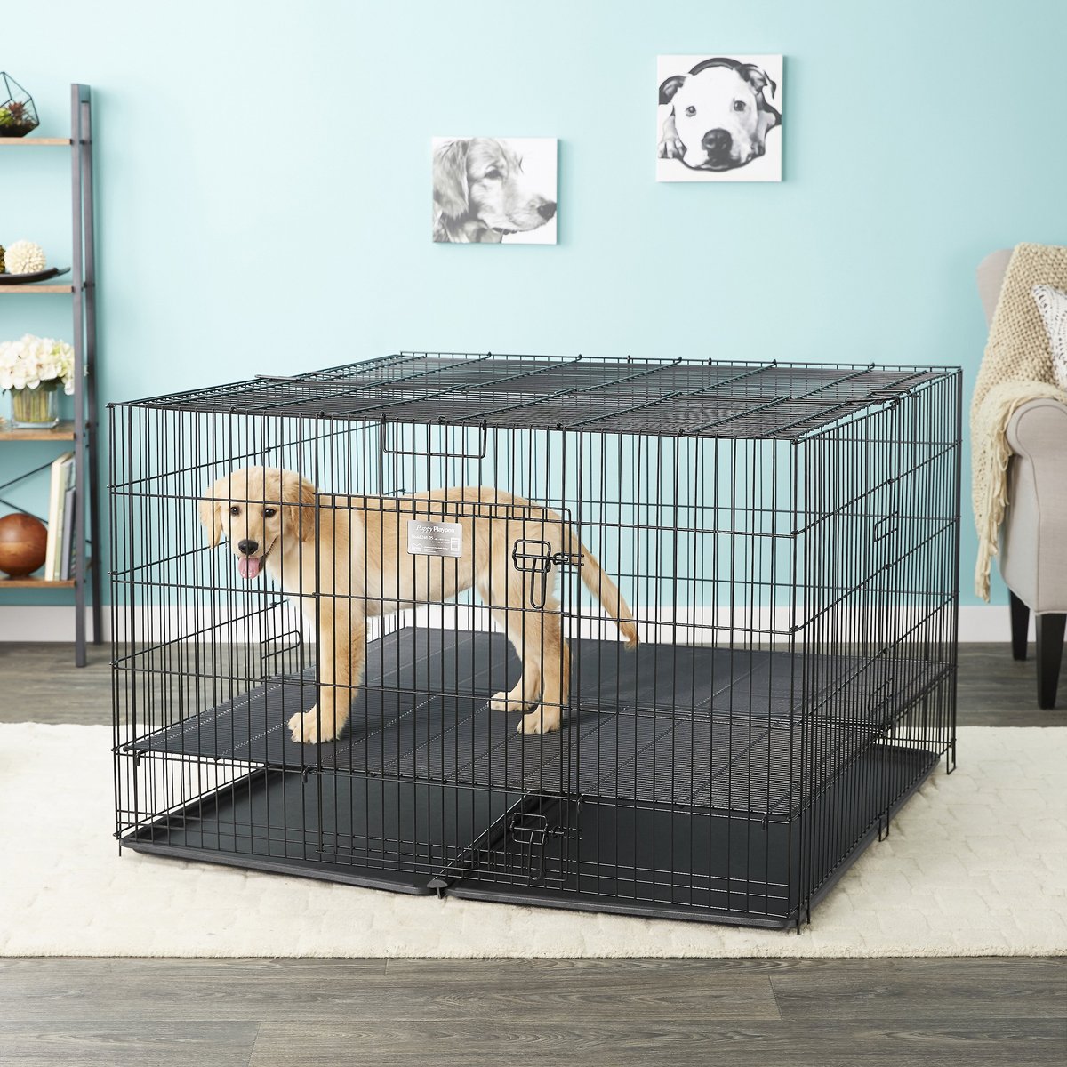 MidWest Double Door Collapsible Wire Puppy Crate with 1/2 inch Floor Grid, 48 inch