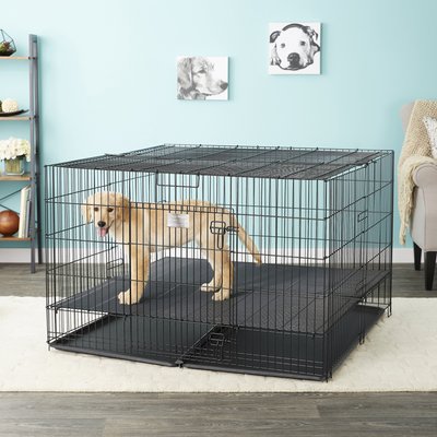 MidWest Double Door Collapsible Wire Puppy Crate with 1/2 inch Floor Grid, 48 inch