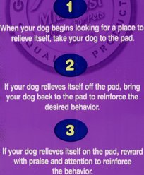 MidWest Dry Paws Training & Floor Protection Pads, Large, 14 count slide 2 of 4