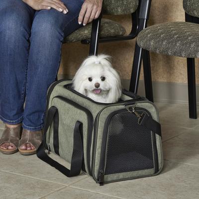 Show full view: MidWest Duffy Dog & Cat Carrier, Green, Medium slide 4 of 11