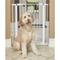 Show in main carousel: MidWest Glow in the Dark Dog & Cat Gate, White, 39-in slide 3 of 9