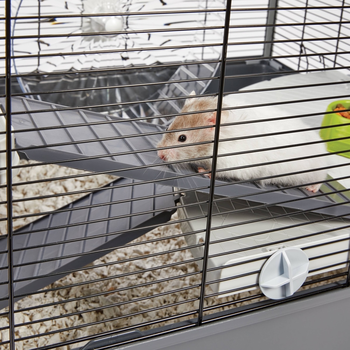 MIDWEST Hamster Nation Hamster Home, Jumbo