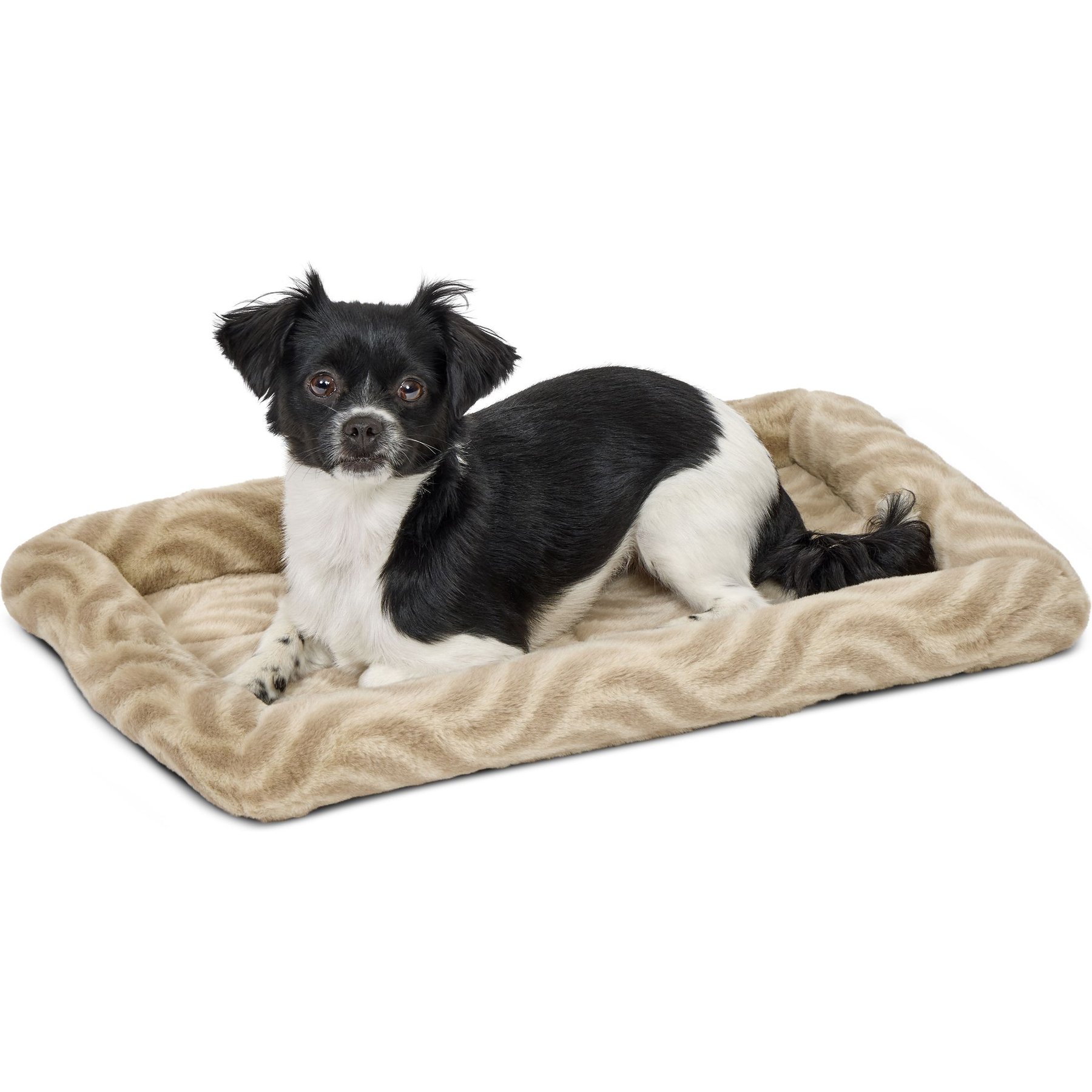 MidWest Homes for Pets Quiet Time Deluxe Wave Bolster Dog & Cat Bed, Tan, Small: 22-inch