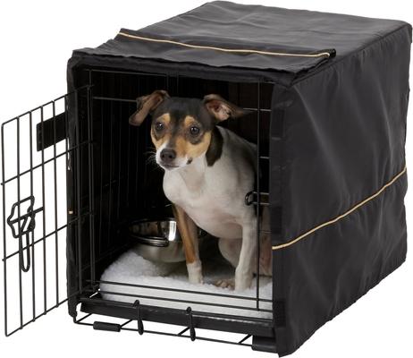Show full view: MidWest iCrate Double Door Collapsible Wire Dog Crate Kit, Black, 22 inch slide 5 of 11