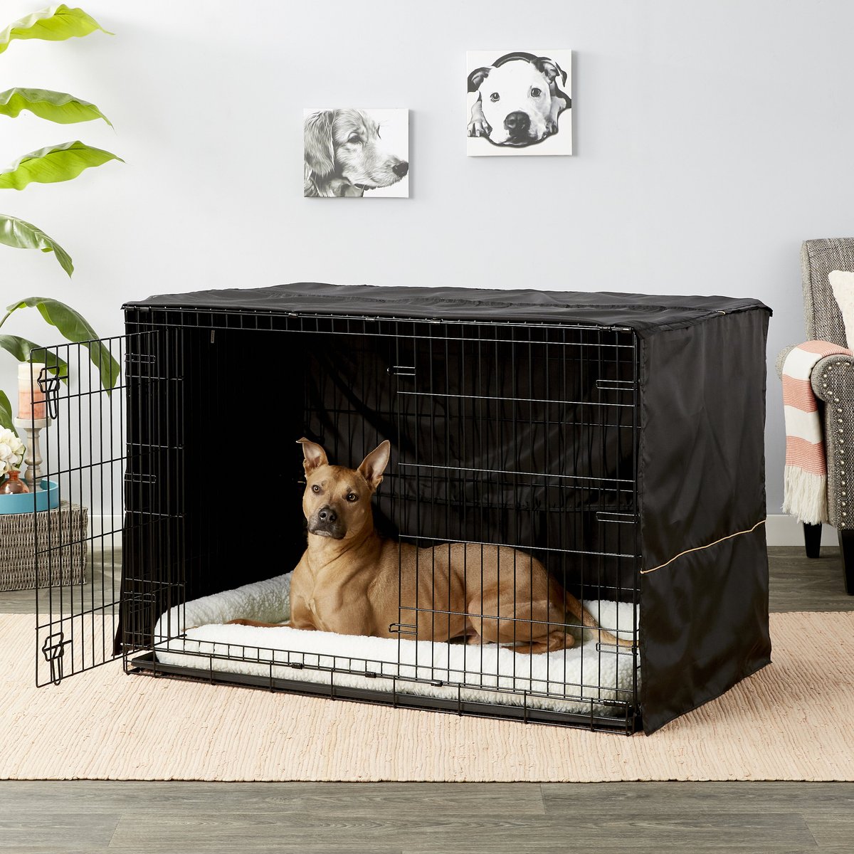 MIDWEST iCrate Double Door Collapsible Wire Dog Crate Kit, Black, 48 ...