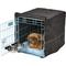 Show in main carousel: MidWest iCrate Double Door Collapsible Wire Dog Crate Kit, Blue, 24 inch slide 1 of 7