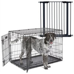 MidWest iCrate Fold & Carry Double Door Collapsible Dog Crate, 36 inch + Steel Pet Gate, Graphite, 39-in