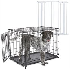 MidWest iCrate Fold & Carry Double Door Collapsible Dog Crate, 36 inch + Steel Pet Gate, White, 39-in