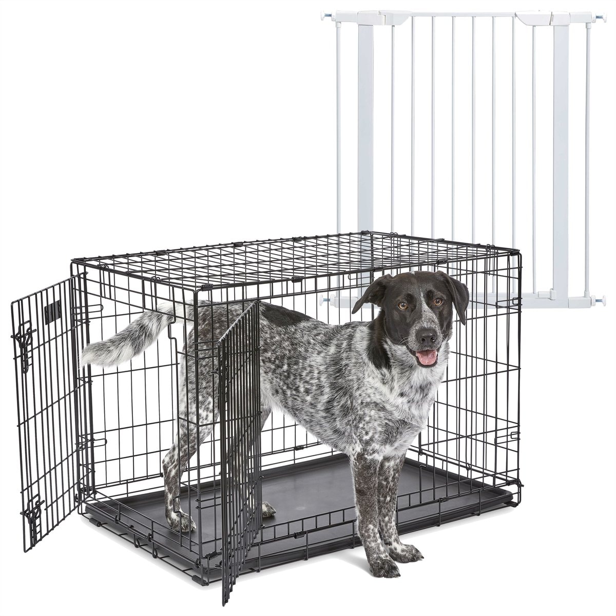 MidWest iCrate Fold & Carry Double Door Collapsible Dog Crate, 36 inch + Steel Pet Gate, White, 39-in