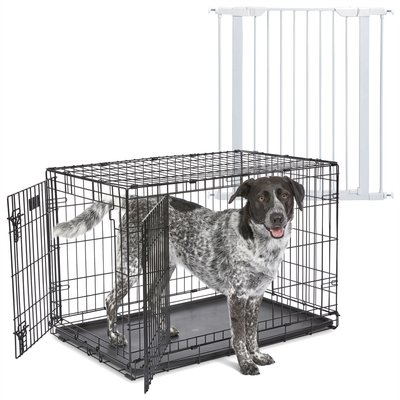 MidWest iCrate Fold & Carry Double Door Collapsible Dog Crate, 36 inch + Steel Pet Gate, White, 39-in