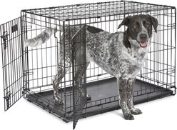MidWest iCrate Fold & Carry Double Door Collapsible Dog Crate, 36 inch + Steel Pet Gate, White, 39-in slide 2 of 9