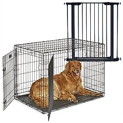 MidWest iCrate Fold & Carry Double Door Collapsible Dog Crate, 42 inch + Steel Pet Gate, Graphite, 39-in