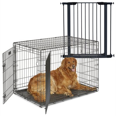 MidWest iCrate Fold & Carry Double Door Collapsible Dog Crate, 42 inch + Steel Pet Gate, Graphite, 39-in