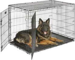 MidWest iCrate Fold & Carry Double Door Collapsible Dog Crate, 48 inch + Steel Pet Gate, White, 39-in slide 2 of 9
