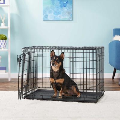 Show full view: MidWest iCrate Fold & Carry Double Door Collapsible Wire Crate, 36 inch + Quiet Time Ombre Swirl Dog Crate Mat, Grey, 36-in slide 5 of 10