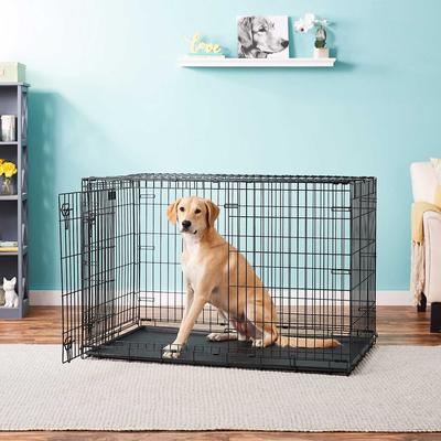 Show full view: MidWest iCrate Fold & Carry Double Door Collapsible Wire Crate, 48 inch + Quiet Time Ombre Swirl Dog Crate Mat, Grey, 48-in slide 5 of 10